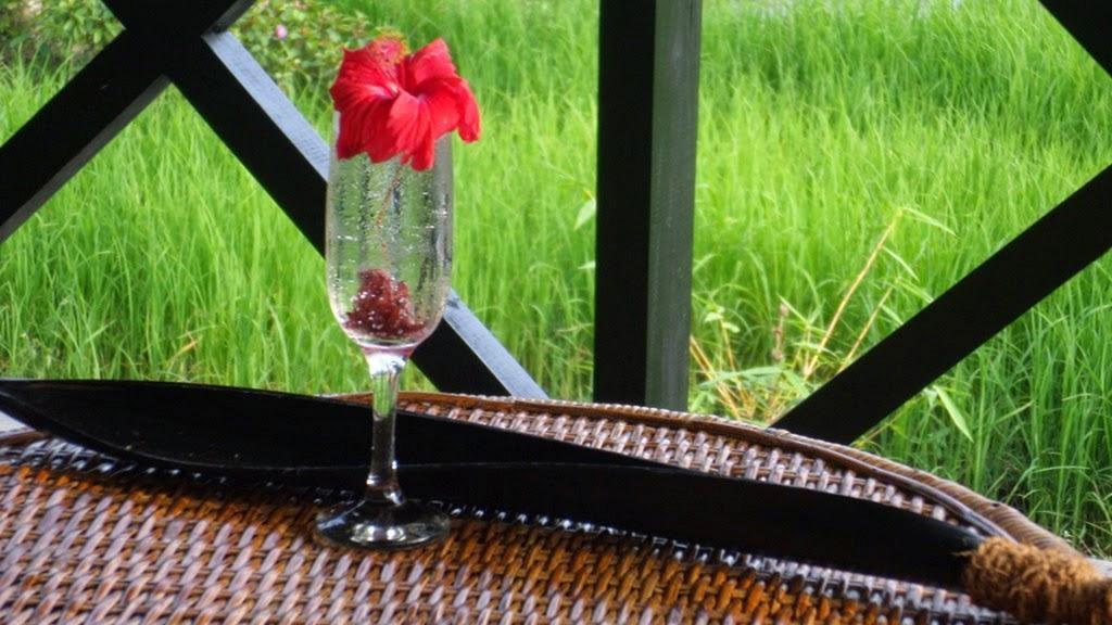 Huma Terra Lodges Hikkaduwa Bagian luar foto